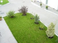 Garten_Buesche1.JPG