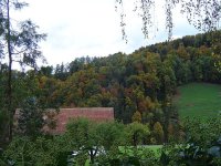 Burg-Herbst-7.10.2015-2.jpg.f222986410a32706f6fa5b7b49b727d7.jpg