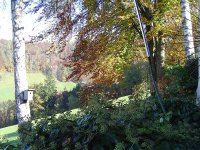 29_10.2016-herbst-5.jpg.833f5aed4ebe8cae2cb8a86f71e0e6af.jpg