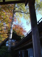 29_10.2016-herbst-6.jpg.71ae59289041c3d53af1802a572fa317.jpg