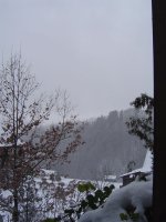 5.1.2017-schnee-3.jpg.9593bebd0ef29d202a5fb346ada953b8.jpg