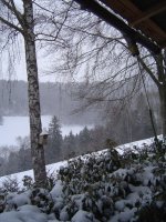 5.1.2017-schnee-6.jpg.b45a8f09138630f6d158347d34bba5e7.jpg