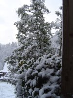 19.4.2017-schnee-1.jpg.ffa2b954dd087de9a6755db03d1540f4.jpg