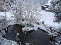 19.4.2017-schnee-4.jpg.79a2bd96fa3a7ffaa700f389d75d5025.jpg