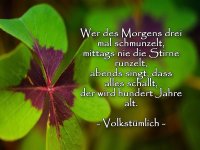 Spruch26_bearbeitet-1.jpg.bfdd1c6189166bfd66843ea434c44881.jpg