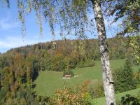 13_10.2017-herbst-1.jpg.909918a298dd005f16f1032a0619f181.jpg