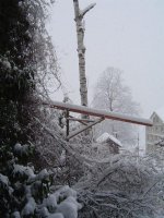 10.1.2019-schnee-1.jpg