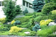 pictures-of-rock-gardens-on-a-slope-sloped-rock-garden-sloped-rock-garden-garden-landscaping-a...jpg