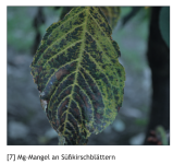 Bildschirmfoto 2019-06-03 um 22.47.00.png