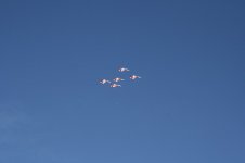 Patrouille Suisse.jpg